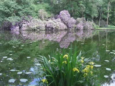 25-OVE) Die schönsten privaten Parks in Overijssel (NL)