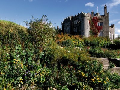23-IRL) Irland - Das Wissen der Druiden