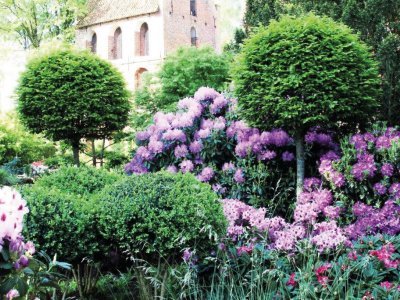 23-AMM) Rhododendronblüte im Ammerland