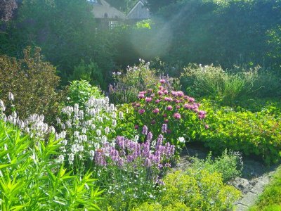 26-DRE) Drenthe/Niederlande