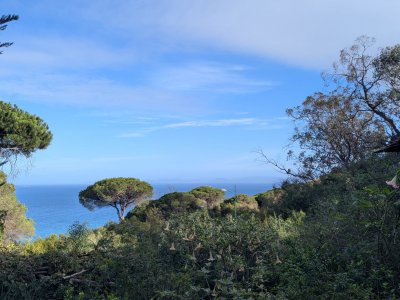 EUR2626) Gartenkreuzfahrt von Malaga nach Lissabon