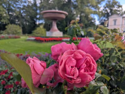 EUR2713) Gartenkreuzfahrt von Hamburg nach Travemünde