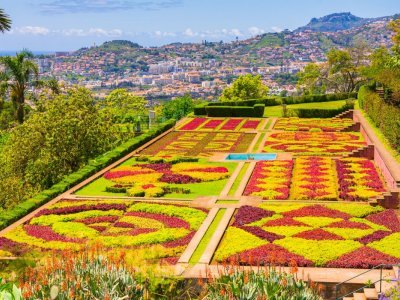 24-MAD) Madeira - Blumenfest im Atlantik