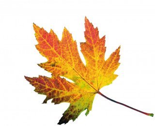 © doris oberfrank-list-fotolia.com