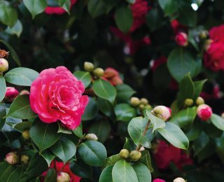© MIMOHE-fotolia.com