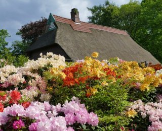 © www.ostfriesland.travel 