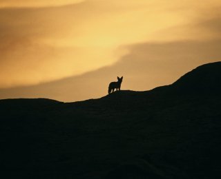 © Namibia Tourism
