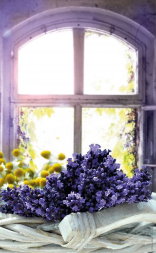 © Stefan Körber - Fotolia.com