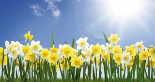 &copy; BlickReflex.de - Fotolia.com