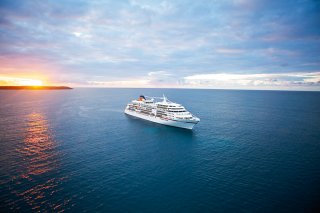 &copy; Damir Begovic