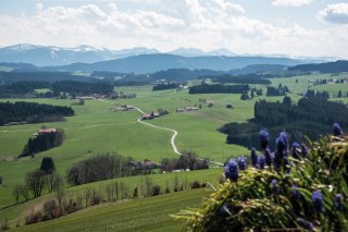 &copy; Adobe Stock/dmaphoto 