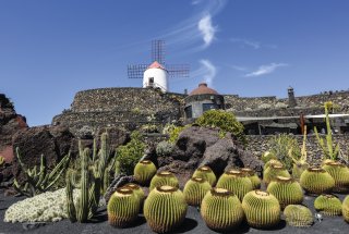 &copy; CA Irene Lorenz-stock.adobe.com