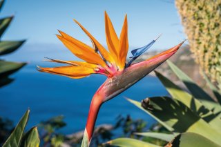 © Andreas Mariotti-fotolia.com