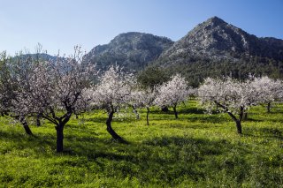 © CHROMORANGE - stock.adobe.com
