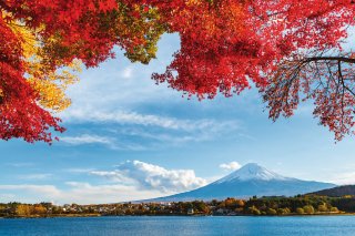 © ESB Professional/shutterstock.com