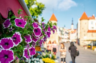© ingusk - stock.adobe.com
