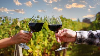 &copy; SASITHORN - stock.adobe.com