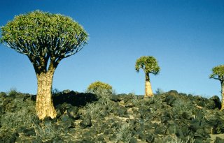 © Namibia Tourism