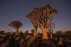 © Carsten Krüger-fotolia.com