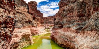 © Shutterstock/Homo Cosmicos