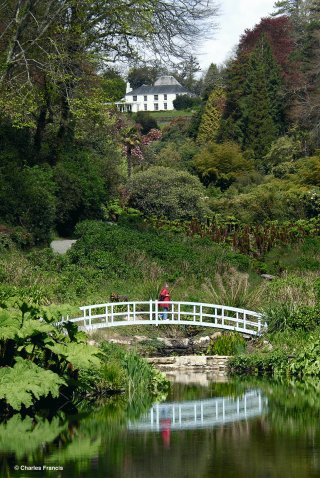 &copy; Charles Francis