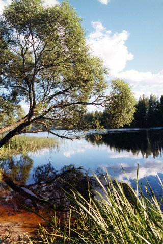 © www.gobaltic.de