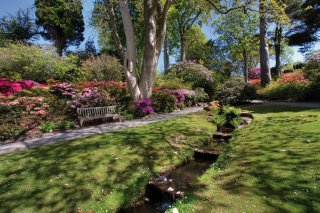 © Gail Johnson-fotolia.com