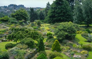 © Royal Botanic Garden Edinburgh