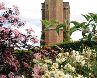 &copy; Natalia Greeske - stock.adobe.co