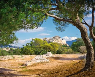 &copy; MF-fotolia.com