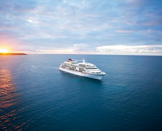 &copy; Damir Begovic