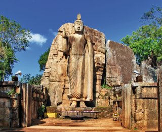 &copy; Freesurf-fotolia.com