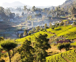 &copy; Galyna Andrushko-fotolia.com