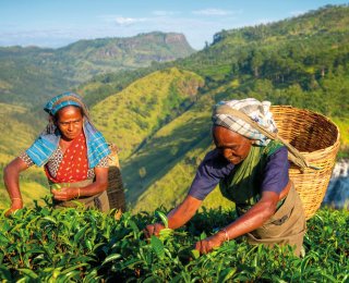 &copy; Rawpixel.com - stock.adobe.com