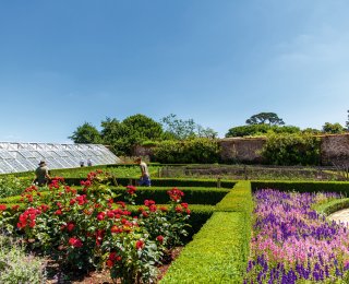 © Alice_D - stock.adobe.com
