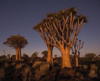 © Carsten Krüger-fotolia.com