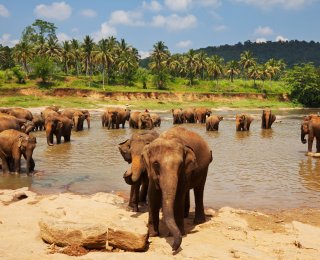 &copy; Galyna Andrushko - stock.adobe.com