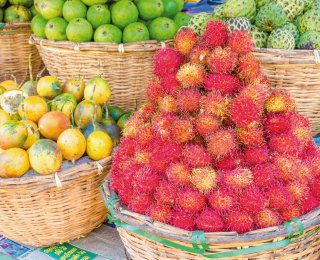 &copy; A.Jedynak-fotolia.com