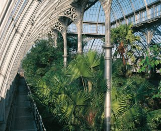 © Royal Botanic Garden Edinburgh